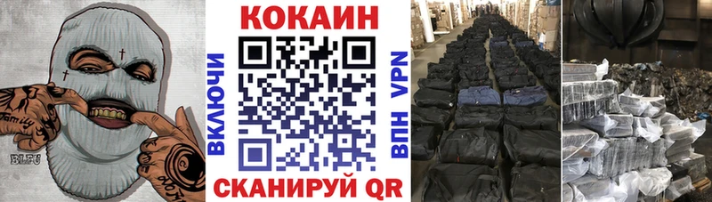 дарнет шоп  Гвардейск  Кокаин FishScale 