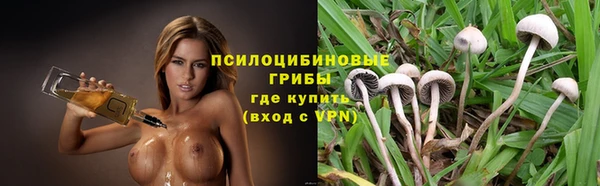 бошки Арсеньев