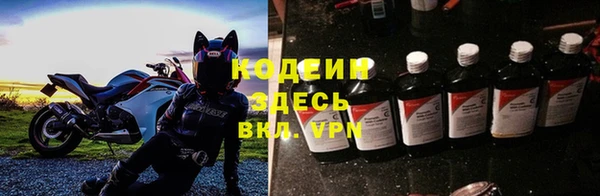 твердый Аркадак