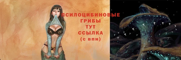 твердый Аркадак