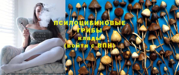 твердый Аркадак