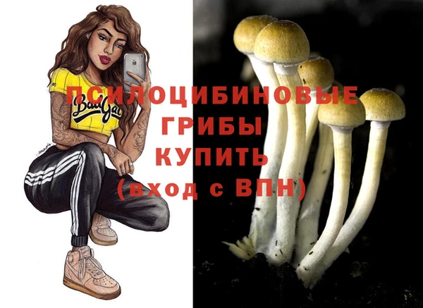 твердый Аркадак