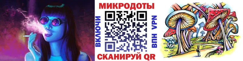 Псилоцибиновые грибы Cubensis  Гвардейск 